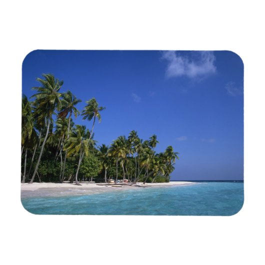 Strand met palmbomen, Malediven Magneet (Horizontaal)