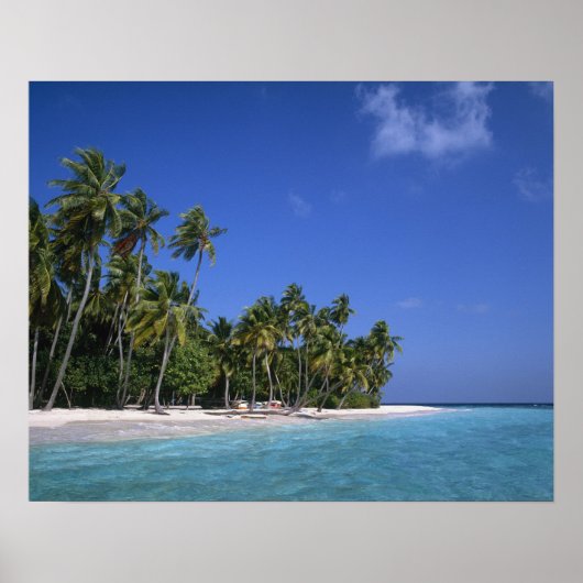Strand met palmbomen, Malediven Poster (Voorkant)