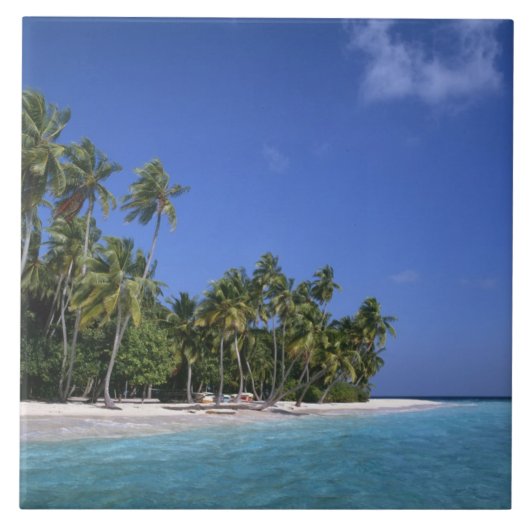 Strand met palmbomen, Malediven Tegeltje (Voorkant)