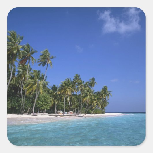 Strand met palmbomen, Malediven Vierkante Sticker (Voorkant)
