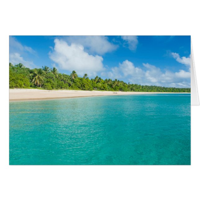 strand met palmbomen, Tonga (Voorkant Horizontaal)