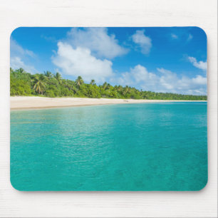 strand met palmbomen, Tonga Muismat