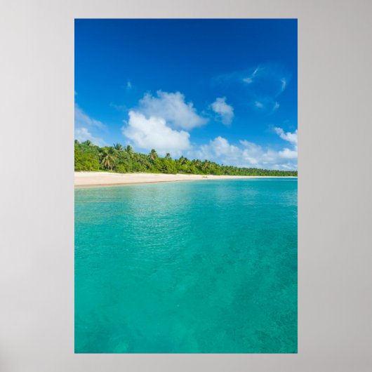 strand met palmbomen, Tonga Poster (Voorkant)