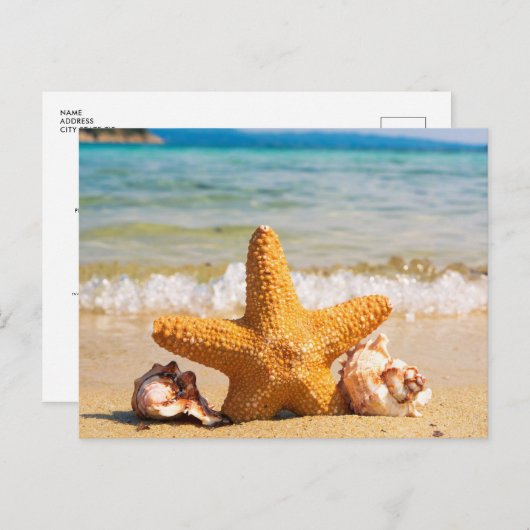Strand met Starfish en Seashells Vrijgezellenfeest Uitnodiging Briefkaart (Voorkant / Achterkant)