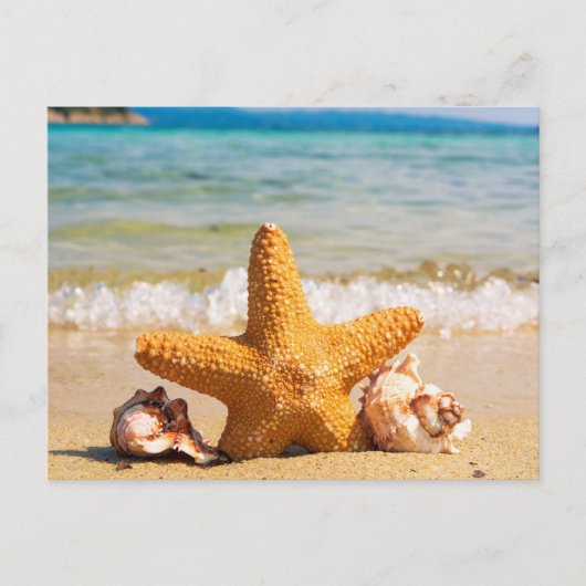 Strand met Starfish en Seashells Vrijgezellenfeest Uitnodiging Briefkaart (Voorkant)
