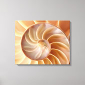 Strand Nautilus Shell Art Canvas Print (Voorkant)