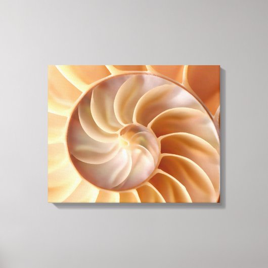 Strand Nautilus Shell Art Canvas Print (Voorkant)