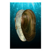 Strand Ocean Sea Shells Perfect Poster (Voorkant)