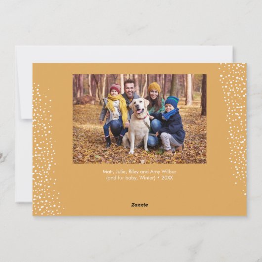 Strand of Christmas Lights Photo Feestdagenkaart (Achterkant)