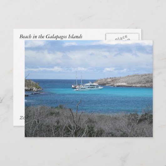 strand op de Galapagos-eilanden Briefkaart (Voorkant / Achterkant)