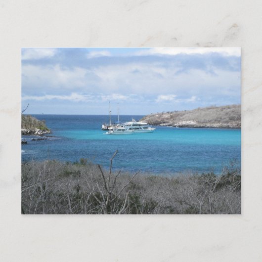 strand op de Galapagos-eilanden Briefkaart (Voorkant)