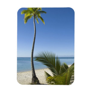 strand op het vasteland Aitutaki, Cookeilanden Magneet