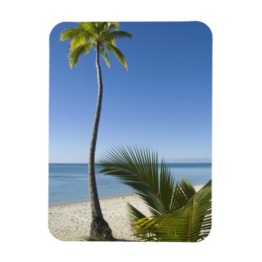 strand op het vasteland Aitutaki, Cookeilanden Magneet (Verticaal)