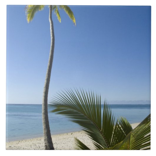 strand op het vasteland Aitutaki, Cookeilanden Tegeltje (Voorkant)