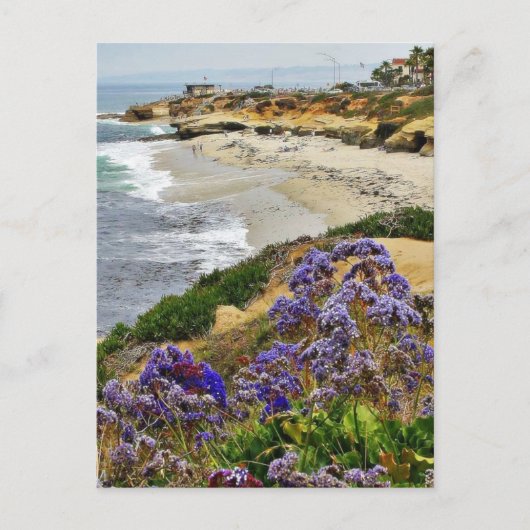 strand op La Jolla Cove Briefkaart (Voorkant)