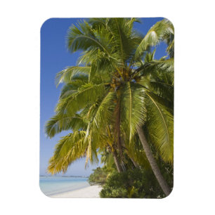 Strand op One Foot-eiland, Aitutaki, Cookeilanden Magneet