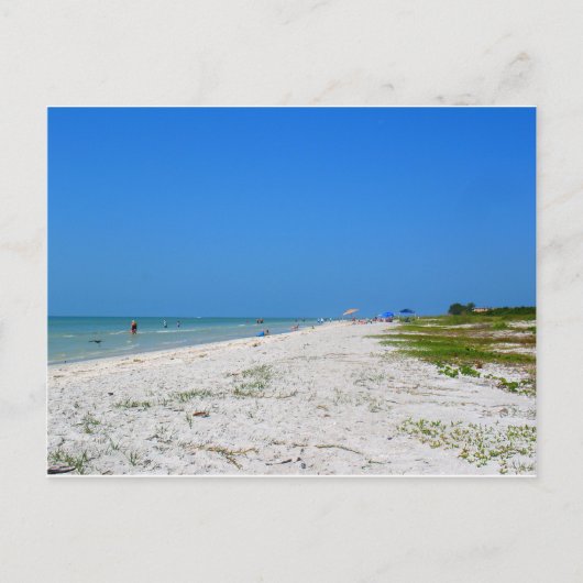 strand op Sanibel Island Briefkaart (Voorkant)