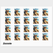 STRAND ORANJE KAT STICKERS (Vel)