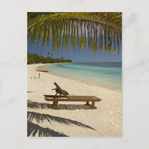 Strand, palmbomen en ligstoel briefkaart