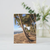 strand, palmbomen op het briefkaart van de Palmbed (Staand voorkant)