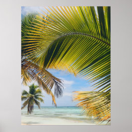 strand Palms poster