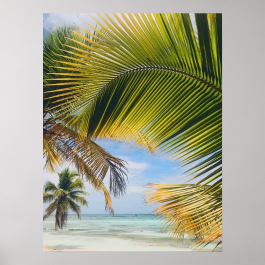 strand Palms poster (Voorkant)