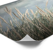 Strand Panorama Poster (Hoek)