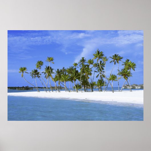 strand paradijs met poster hammock_Maldiven (Voorkant)
