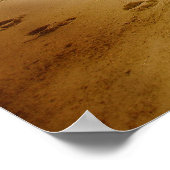 strand Poster (Hoek)