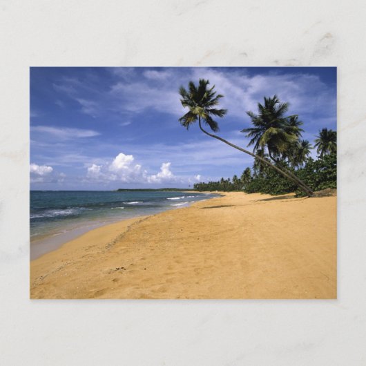 Strand Puerto Rico 2 Briefkaart (Voorkant)