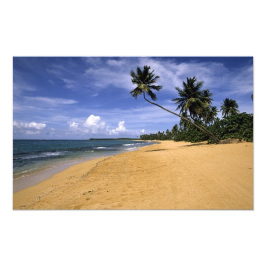Strand Puerto Rico 2 Foto Afdruk (Voorkant)