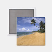 Strand Puerto Rico 2 Magneet (Voorkant / Achterkant)