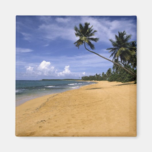 Strand Puerto Rico 2 Magneet (Voorkant)