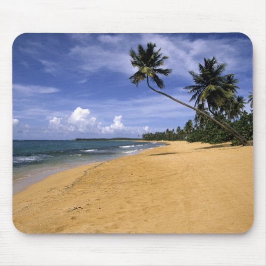 Strand Puerto Rico 2 Muismat (Voorkant)