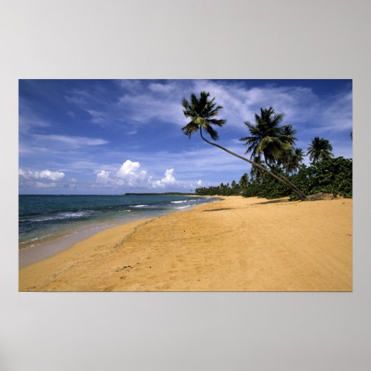 Strand Puerto Rico 2 Poster (Voorkant)