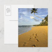 Strand Puerto Rico Briefkaart (Voorkant / Achterkant)