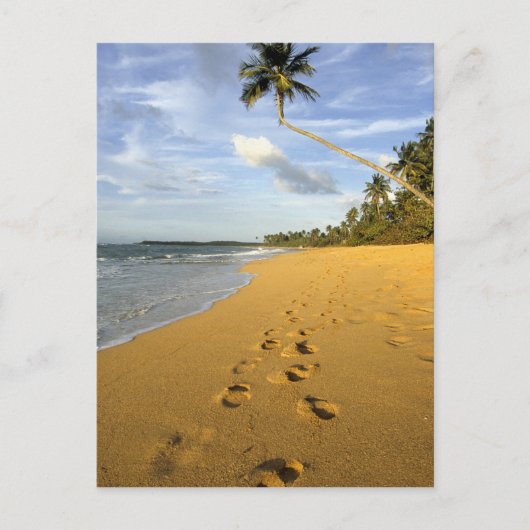 Strand Puerto Rico Briefkaart (Voorkant)