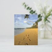 Strand Puerto Rico Briefkaart (Staand voorkant)