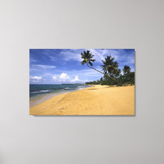 Strand Puerto Rico Canvas Afdruk (Voorkant)