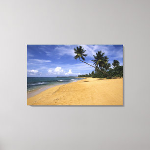 Strand Puerto Rico Canvas Afdruk