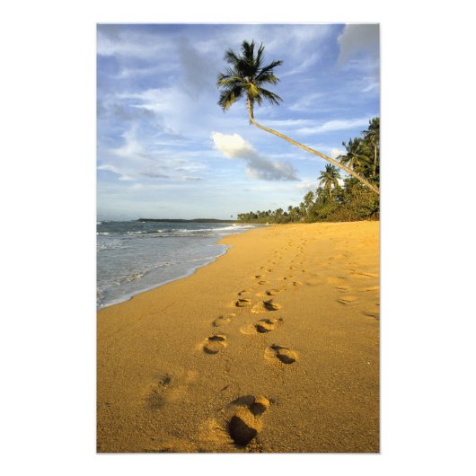 Strand Puerto Rico Foto Afdruk (Voorkant)
