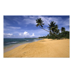 Strand Puerto Rico Foto Afdruk