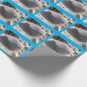 Strand Rotswrap Papier (Hoek)