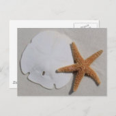 strand sandollar en zeestervis briefkaart (Voorkant / Achterkant)