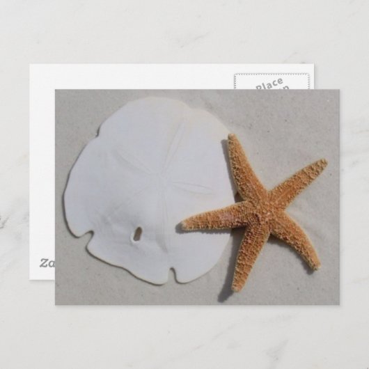 strand sandollar en zeestervis briefkaart (Voorkant / Achterkant)