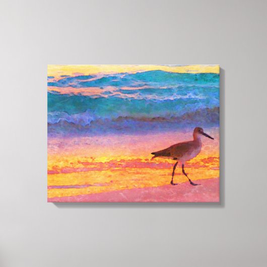 Strand Sandpiper bij zonsondergang Canvas Afdruk (Voorkant)
