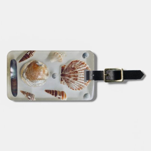Strand Schelp Collectie Bagagelabel (Voorkant horizontaal)