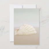 Strand Schelp, Hartelijk Ontvangst Kaart (Achterkant)