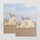 Strand Schelp, Hartjes Tafelkaart Kaart (Voorkant / Achterkant)