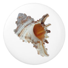 Strand Schelp Oceaan Schelp Keramische Knop